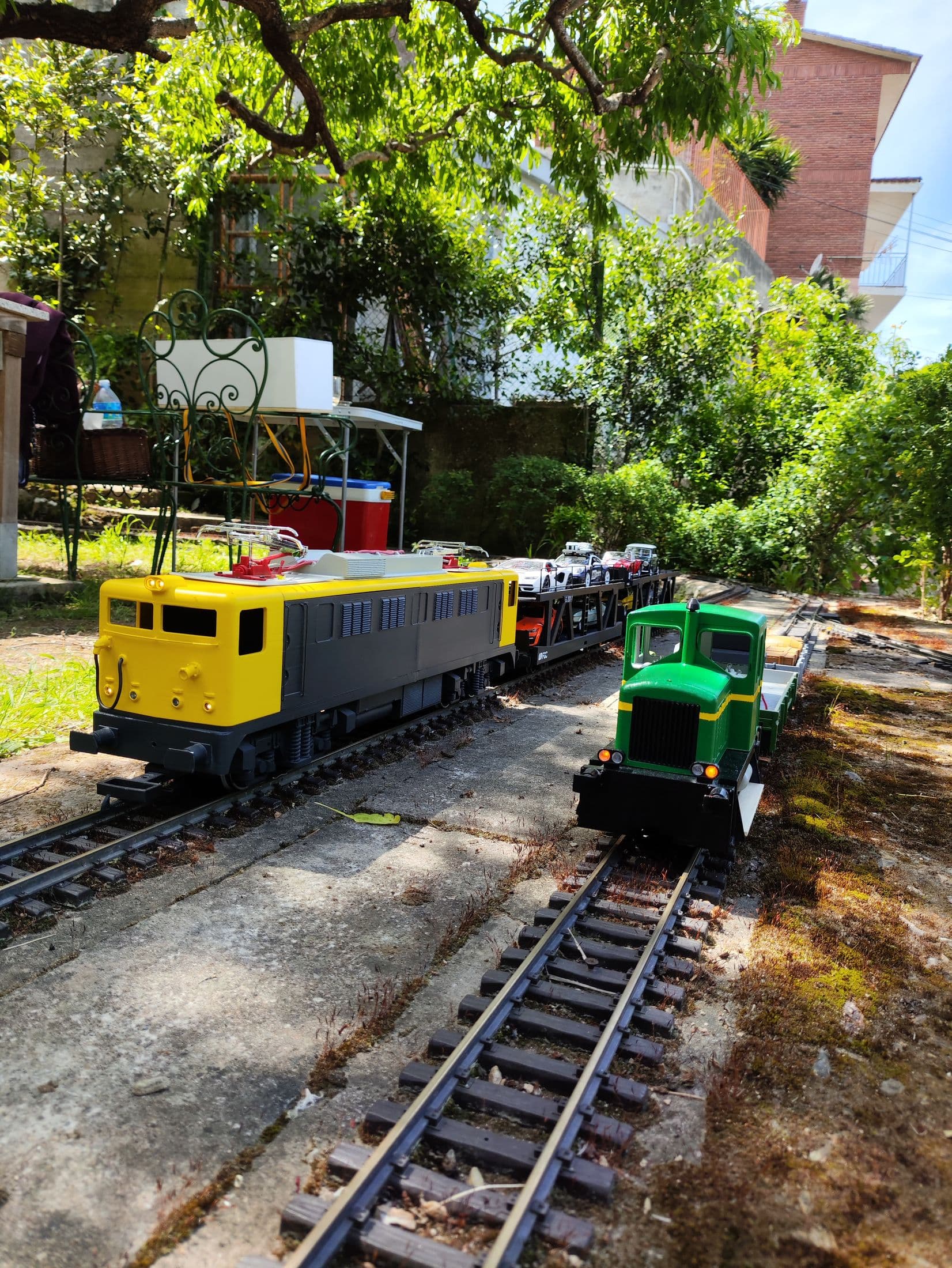 Dos locomotoras en el jardín